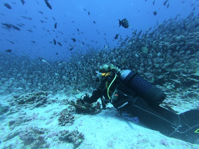 Scuba Diving in Andaman, weirdnotion