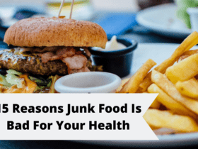 15 Reasons Junk Food Is Bad For Your Health