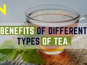 Benefits Of Different Types Of Tea