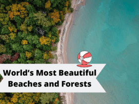 World’s Most Beautiful Beaches and Forests