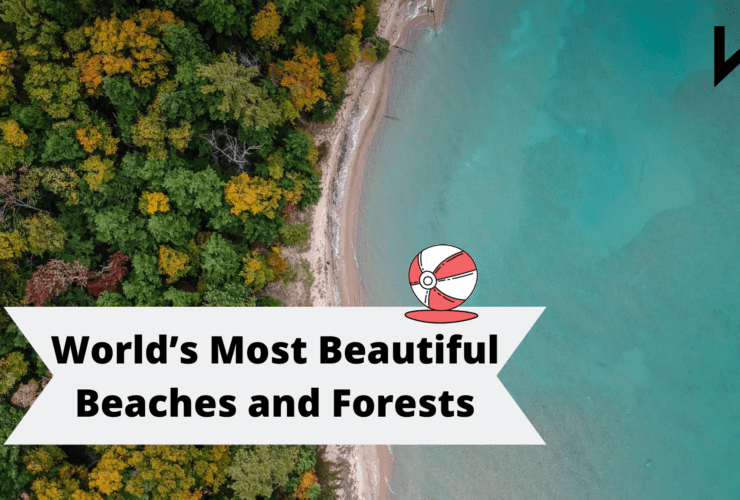 World’s Most Beautiful Beaches and Forests