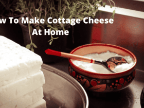 How To Make Cottage Cheese At Home | Food | Health | WeirdNotion