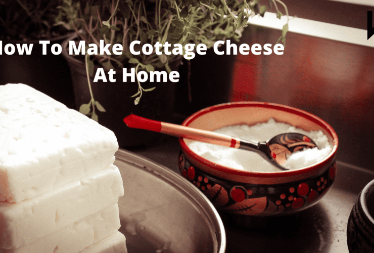 How To Make Cottage Cheese At Home | Food | Health | WeirdNotion