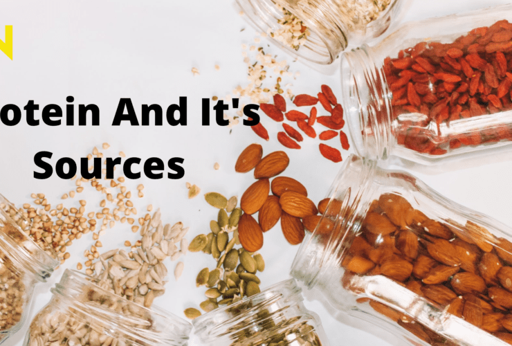 Sources Of Protein | What is Protein And Types Of It | Recipe | WN