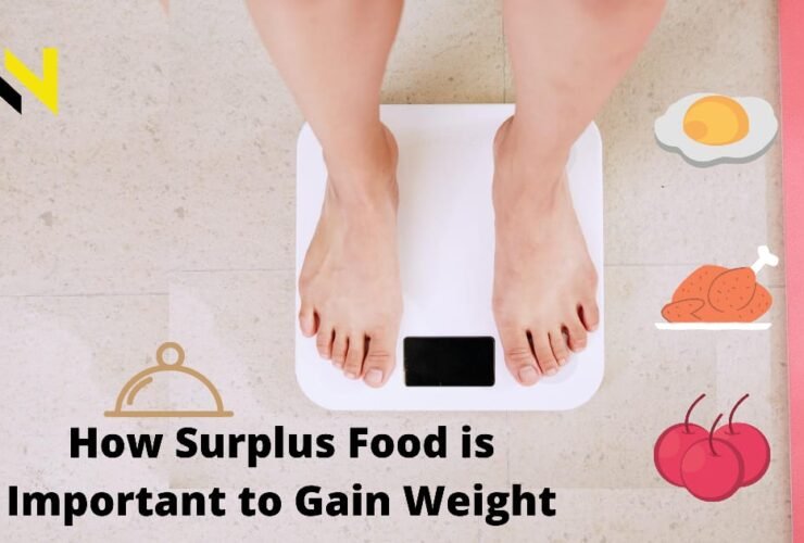 surplus food