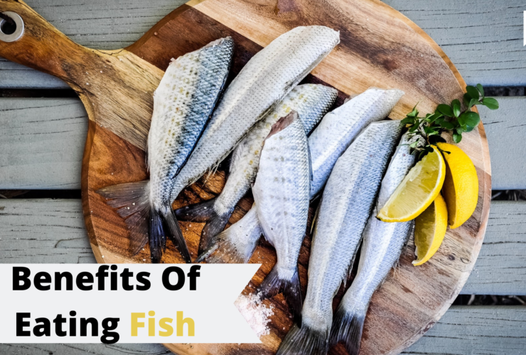 Benefits of eating fish | Must read | Food | Health | Recipe | WeirdNotion