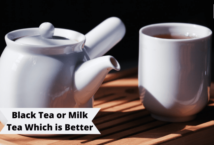 Black Tea or Milk Tea Which is Better | Food | Recipe | Healthy | WN