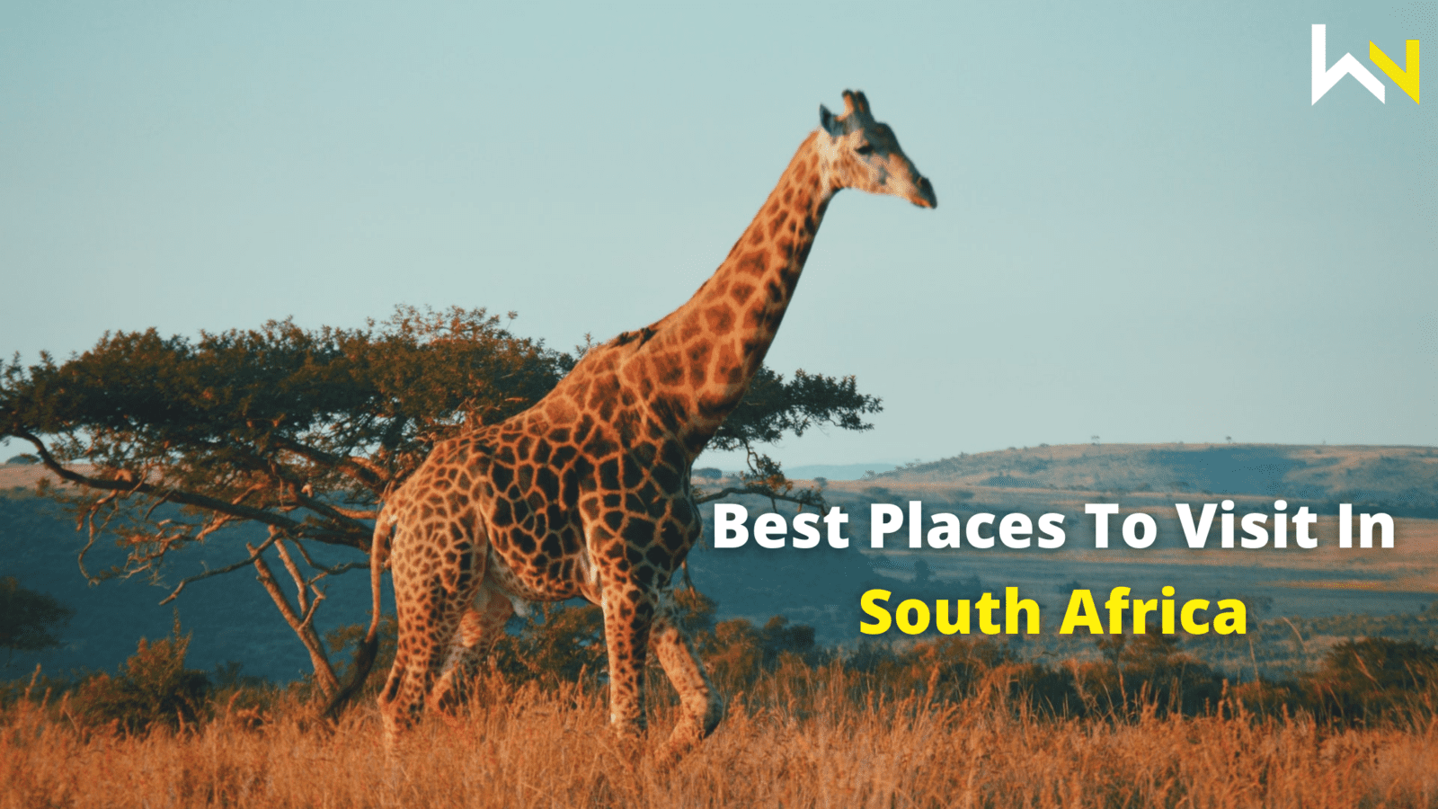 Best Places To Visit In South Africa | Travel | Discover | WeirdNotion