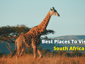 Best Places To Visit In South Africa | Travel | Discover | WeirdNotion