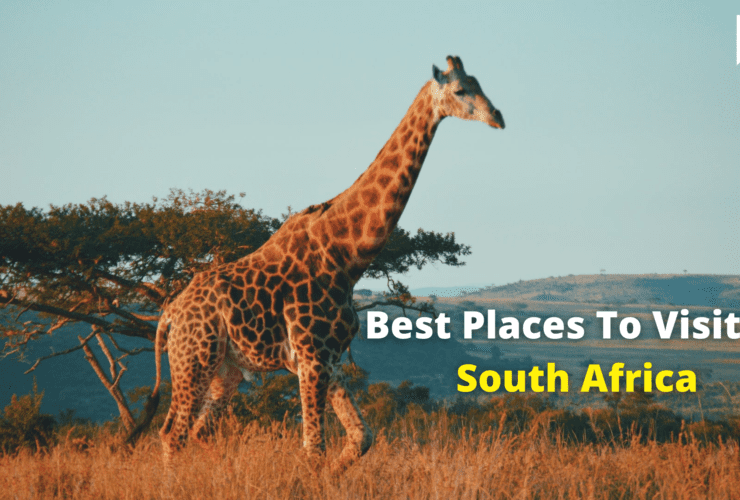 Best Places To Visit In South Africa | Travel | Discover | WeirdNotion