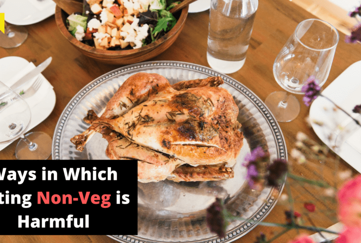 Ways in which eating non-veg is harmful | Food | Health | WeirdNotion
