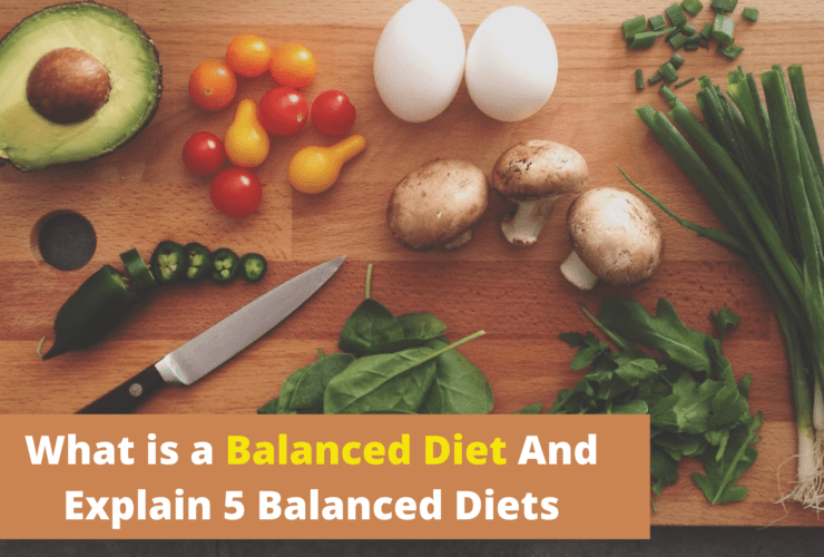 What is a balanced diet and explain 5 balanced diets | Food | Recipe |