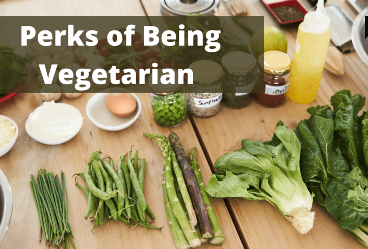 Perks of being vegetarian | Must read | Health | Food | WeirdNotion
