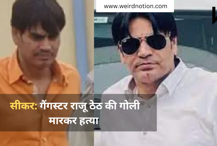 गैंगस्टर राजू थेठ